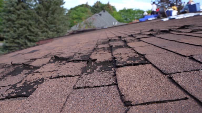Best Cold Roofs  in Scotia, NY